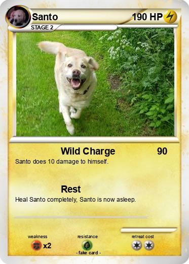 Pokemon Santo