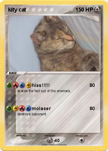 Pokemon kity cat