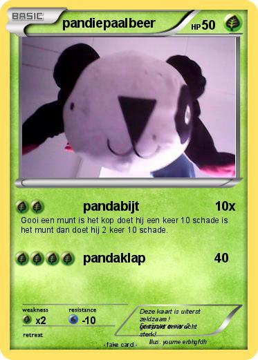 Pokemon pandiepaalbeer