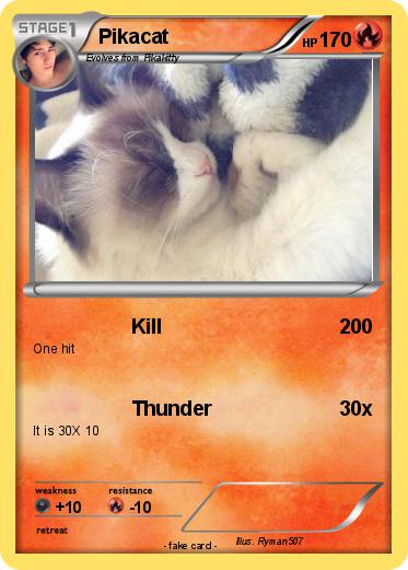 Pokemon Pikacat