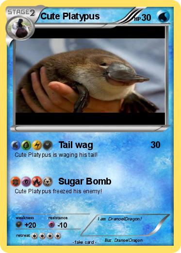 Pokemon Cute Platypus