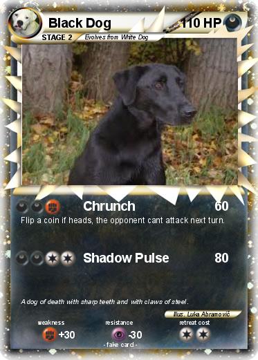 Pokemon Black Dog
