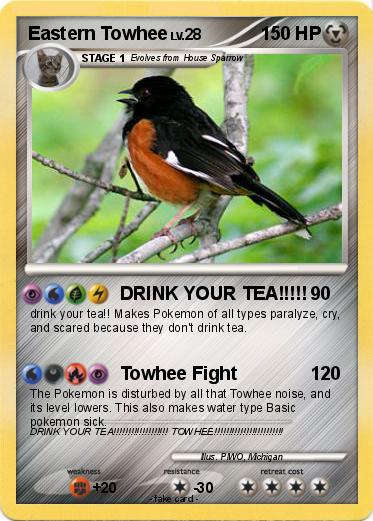 Pokemon Eastern Towhee