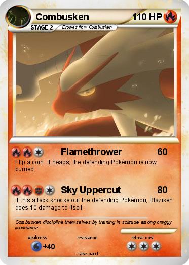 Pokemon Combusken