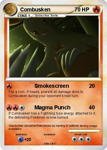 Pokemon Combusken