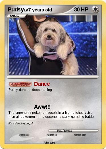 Pokemon Pudsy