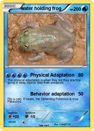 Pokemon water holding frog