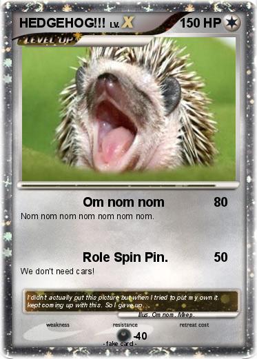 Pokemon HEDGEHOG!!!