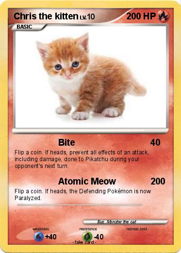 Pokemon Chris the kitten