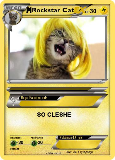 Pokemon Rockstar Cat