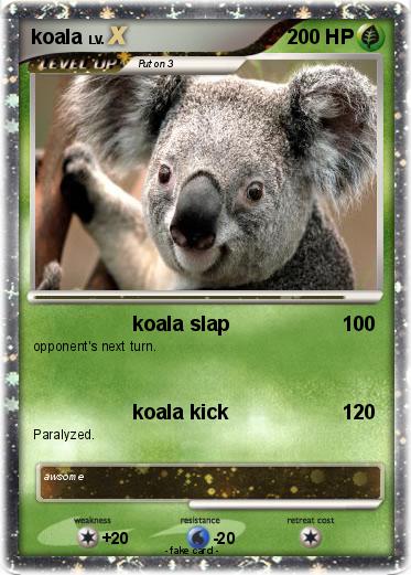 Pokemon koala