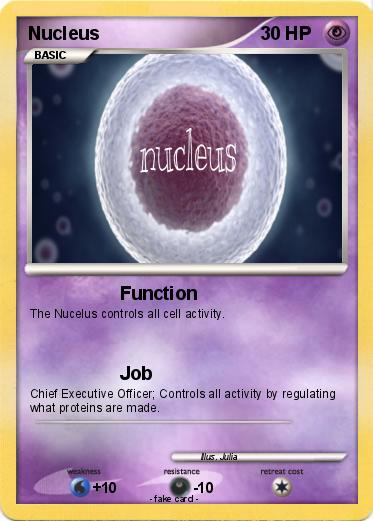 Pokemon Nucleus