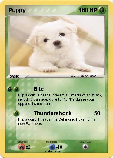 Pokemon Puppy