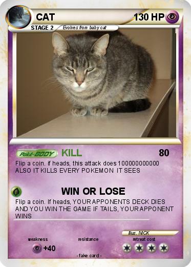 Pokemon CAT