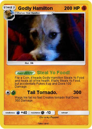 Pokemon Godly Hamilton
