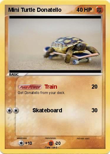 Pokemon Mini Turtle Donatello
