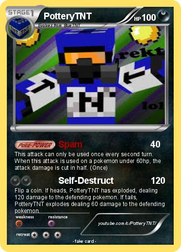 Pokemon PotteryTNT
