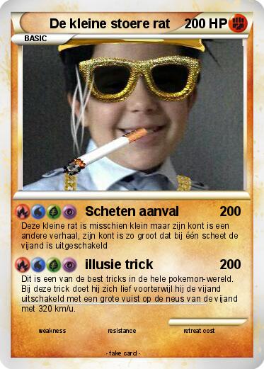 Pokemon De kleine stoere rat