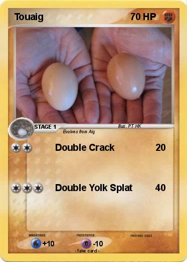 Pokemon Touaig