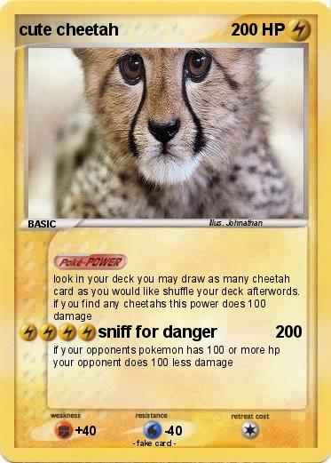 Pokemon cute cheetah