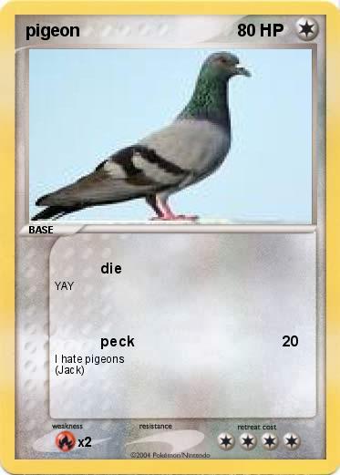 Pokemon pigeon
