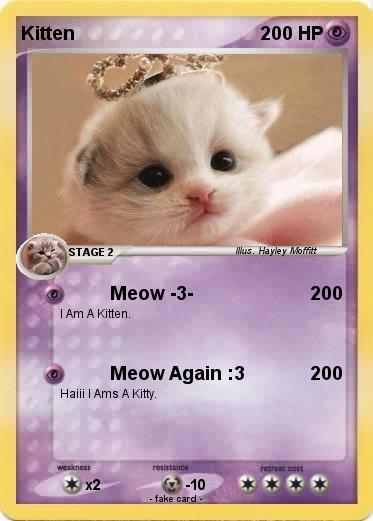 Pokemon Kitten