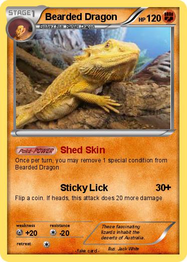 Pokemon Bearded Dragon