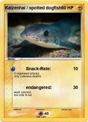 Pokemon Katzenhai / spotted dogfish