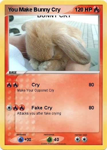 Pokemon You Make Bunny Cry 