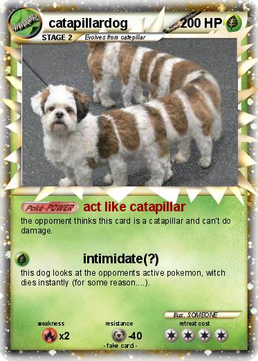 Pokemon catapillardog
