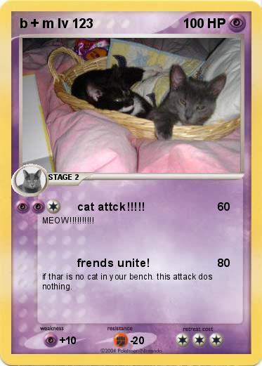 Pokemon b + m lv 123