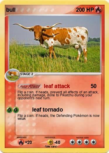 Pokemon bull