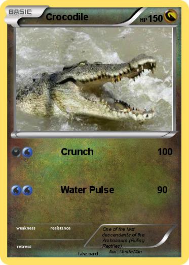 Pokemon Crocodile