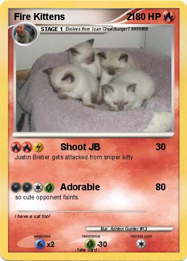 Pokemon Fire Kittens                        2