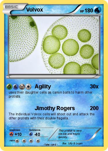 Pokemon Volvox
