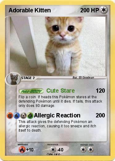 Pokemon Adorable Kitten