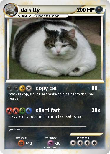 Pokemon da kitty