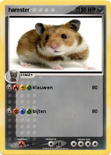 Pokemon hamster