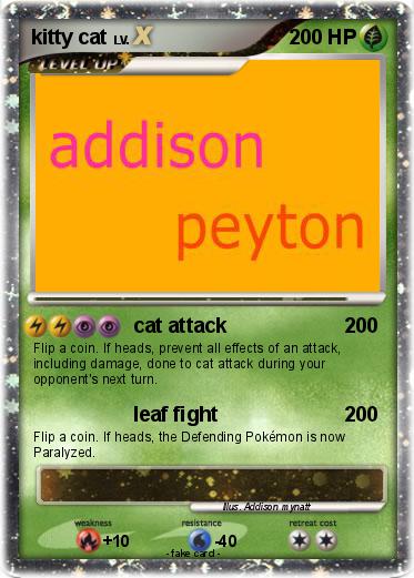 Pokemon kitty cat