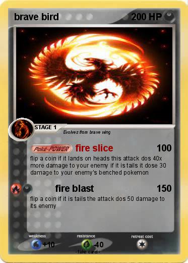 Pokemon brave bird