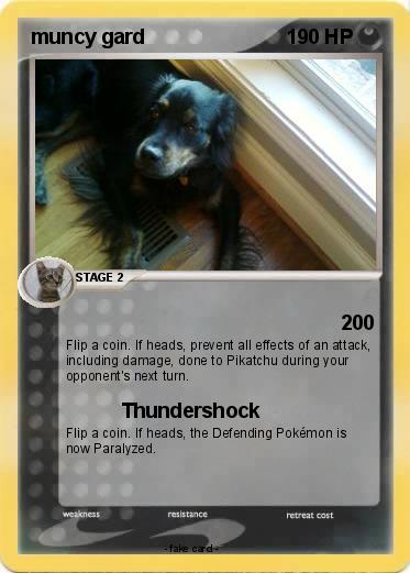 Pokemon muncy gard