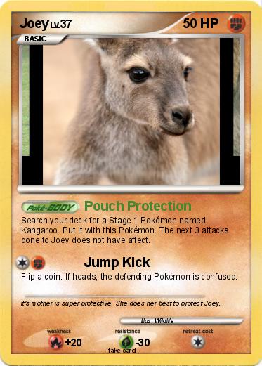 Pokemon Joey