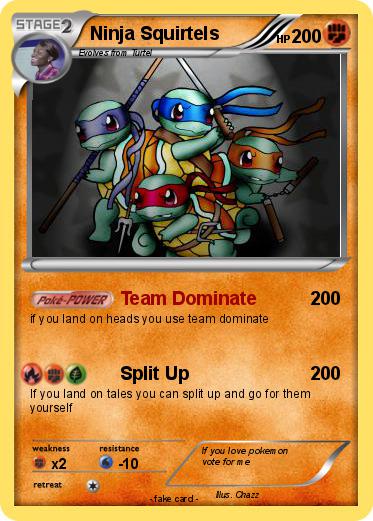 Pokemon Ninja Squirtels