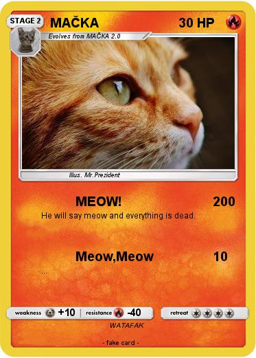Pokemon MAČKA