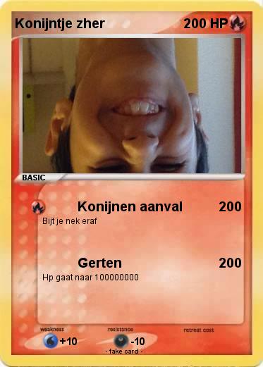 Pokemon Konijntje zher