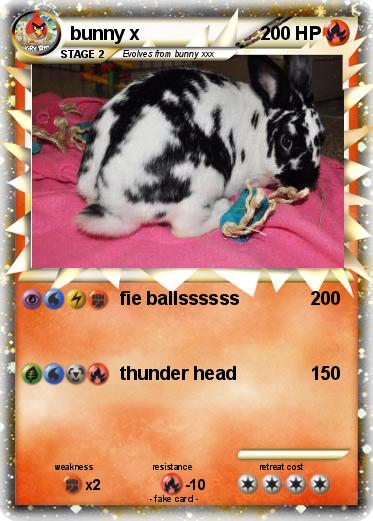 Pokemon bunny x