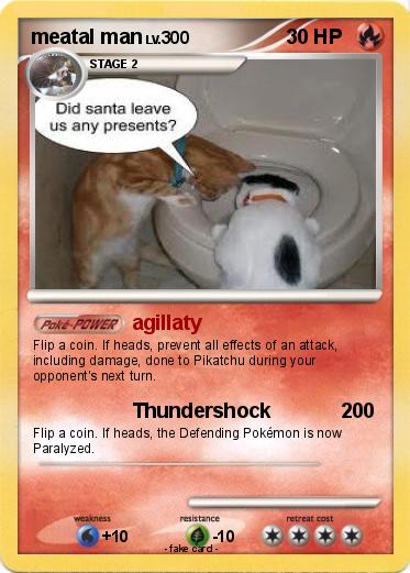 Pokemon meatal man