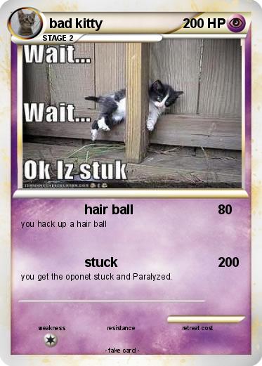 Pokemon bad kitty