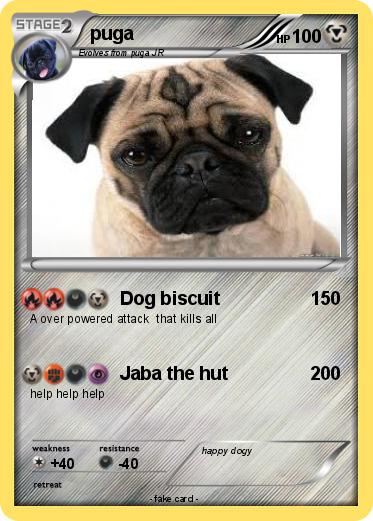Pokemon puga