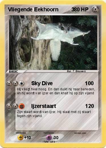 Pokemon Vliegende Eekhoorn         3